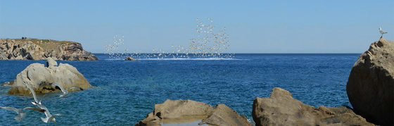 Smontaggio concordia