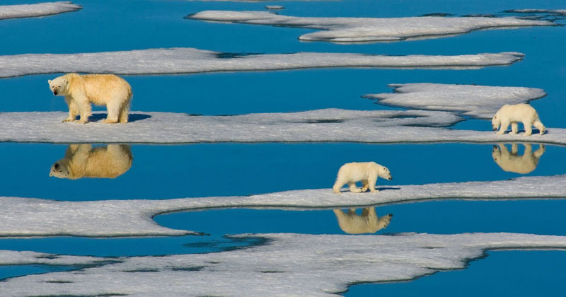 #017 Global Warming Center: un centro di ricerca per due persone tra i ghiacci dell'Artide