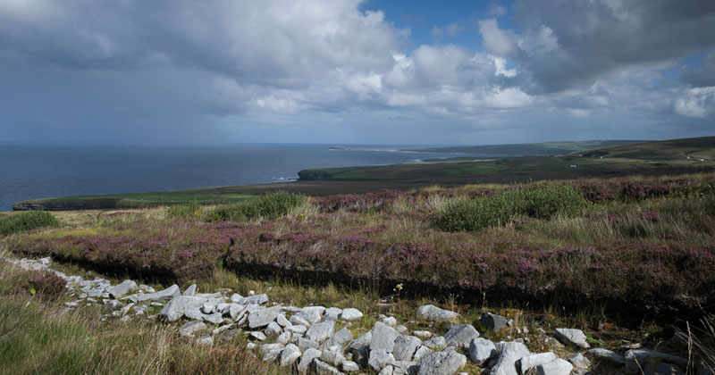 La Fondazione Benetton Studi Ricerche mette a disposizione una borsa di studio sui temi del paesaggio