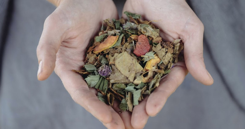 Teamakers Guest House: un luogo di riposo tra meditazione, eco-fitness e workshop di tea-making