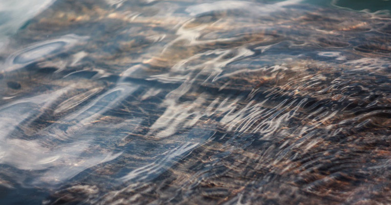 Better Planet Packaging Design Challenge: idee di imballaggio sostenibili per Smurfit Kappa