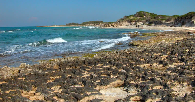 Logo e immagine coordinata per il progetto "Il mare che vorrei"