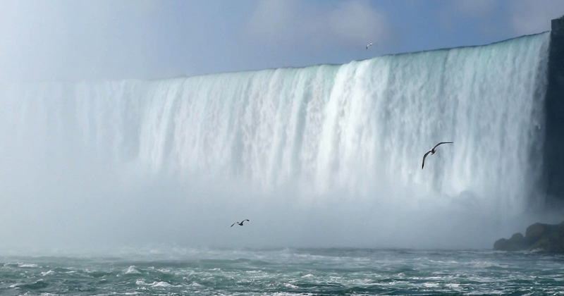 Niagara Falls Pavilion: un padiglione per celebrare la natura e l'essere umano in un contesto paesaggistico d'eccezione