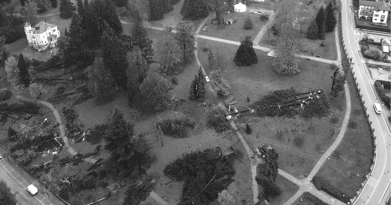 Parco delle Terme di Levico. Installazioni ispirate alla resilienza per far rinascere il paesaggio dopo la tempesta del 2018