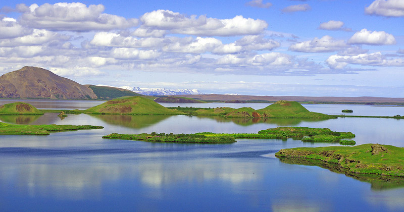 Thermal Springs Guest House + Volcano Museum. I concorsi Bee Breeders in Islanda