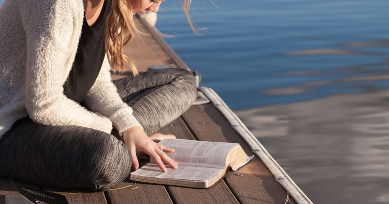 Central Park Book Studio. Spazi di lettura innovativi in uno dei parchi più famosi al mondo