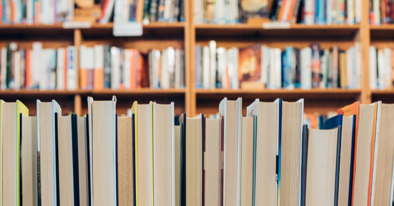 Offcontest, una libreria-scultura per Artefiera 2020