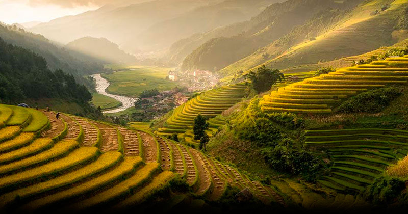 Rural Tourism Accommodation. Tra le risaie vietnamite un'architettura per viaggiatori in cerca di pace e bellezza