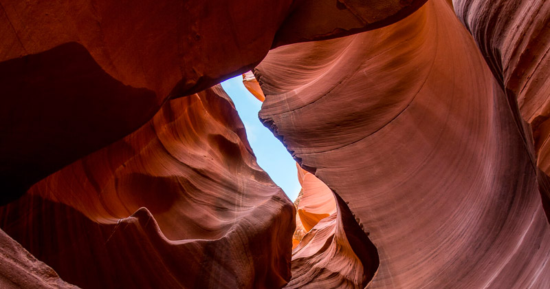 Contest StaroNature. Idee inedite per progetti Staron ispirati alla natura