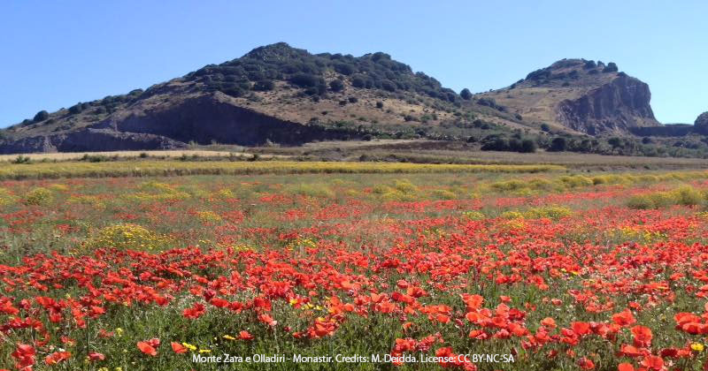 Monastir, un logo per individuare le eccellenze della località sarda