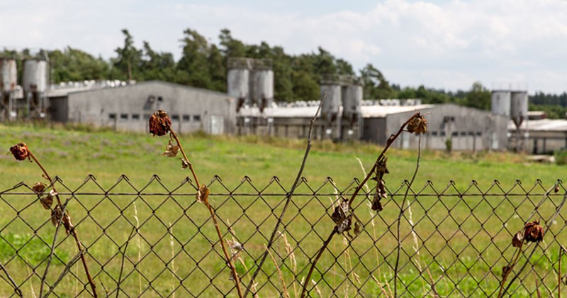 Lety u Písku. Un memoriale per le vittime dell'Olocausto di rom e sinti in Boemia