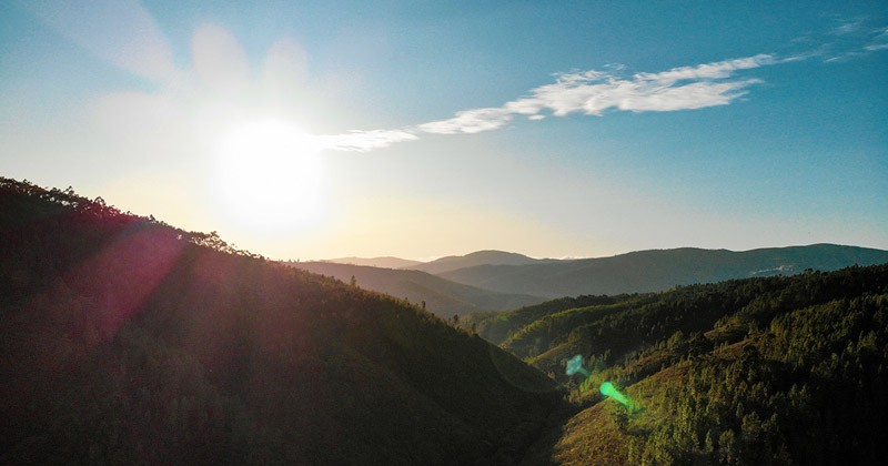 Vale De Moses Meditation Cabins. Piccoli padiglioni immersi nella foresta portoghese per ritrovare se stessi con lo yoga