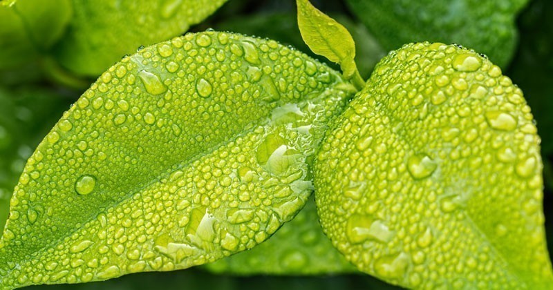 Next Generation Dispenser. Idee di tappi attuatori per aerosol riconoscibili, sostenibili e facili da usare