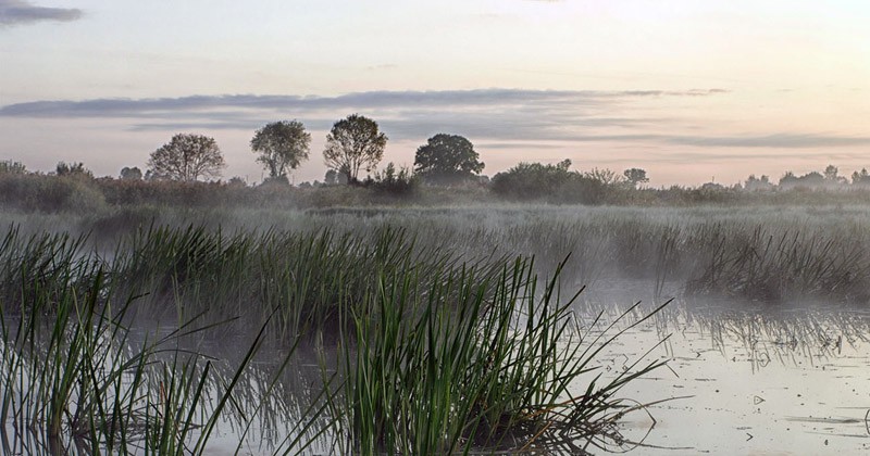 Kurgi Observation Tower. Una torre per ammirare cavalli rarissimi e paesaggi mozzafiato