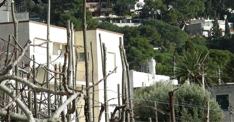 Paesaggi domestici, le rappresentazioni della natura