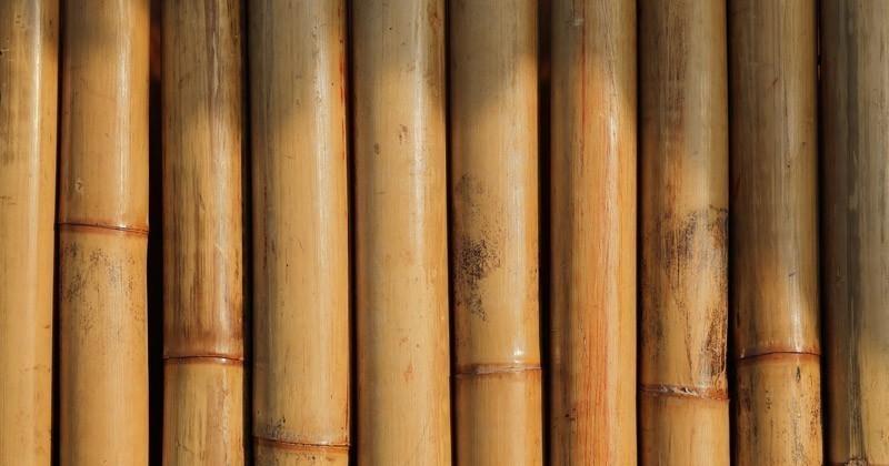Bamboo Rush 2020. Oggetti di design per promuovere l'utilizzo del bambù a livello internazionale