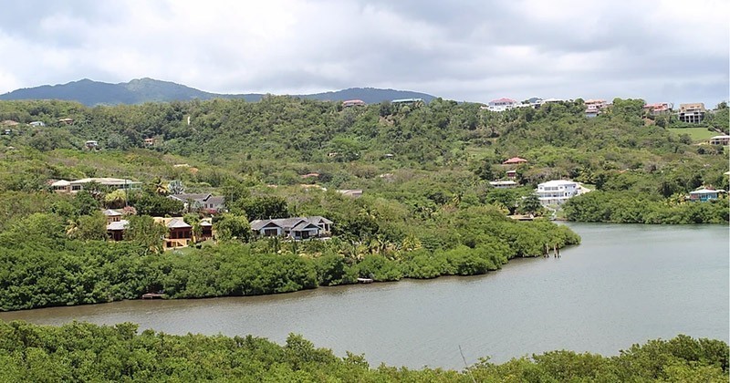Calivigny Garden Guest Houses. Un complesso per vacanze nel mar dei Caraibi