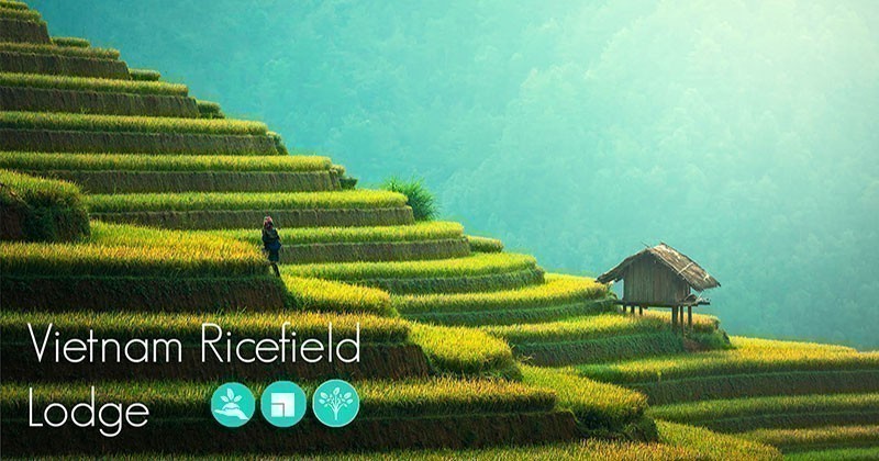 Vietnam Ricefield Lodge - una struttura ricettiva sulle terrazze coltivate a riso del sud-est asiatico