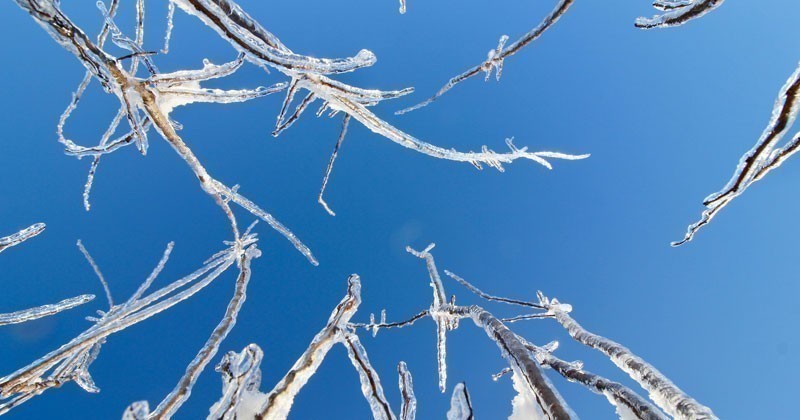 Warming Huts 2021. Idee cercasi per tre installazioni artistiche sul ghiaccio da costruire in Canada