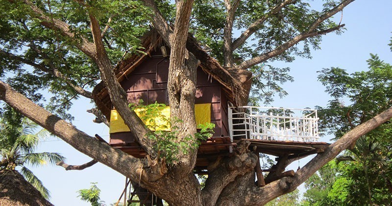 Architettura sospesa, la casa sull'albero a vocazione turistica