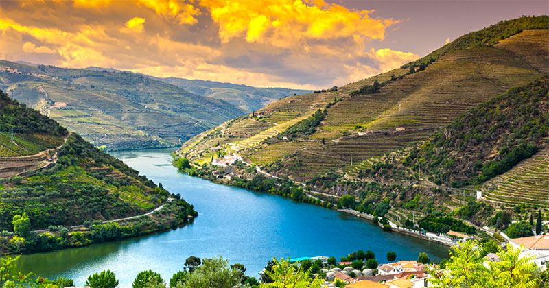 Una guest house per degustare l'olio di oliva nel suggestivo paesaggio portoghese
