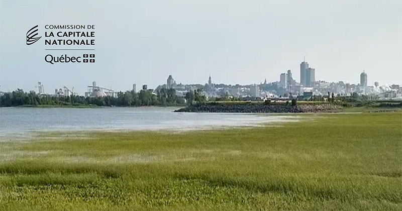 Il Québec City è alla ricerca di un progetto ambizioso per valorizzare la sponda est del St. Lawrence River