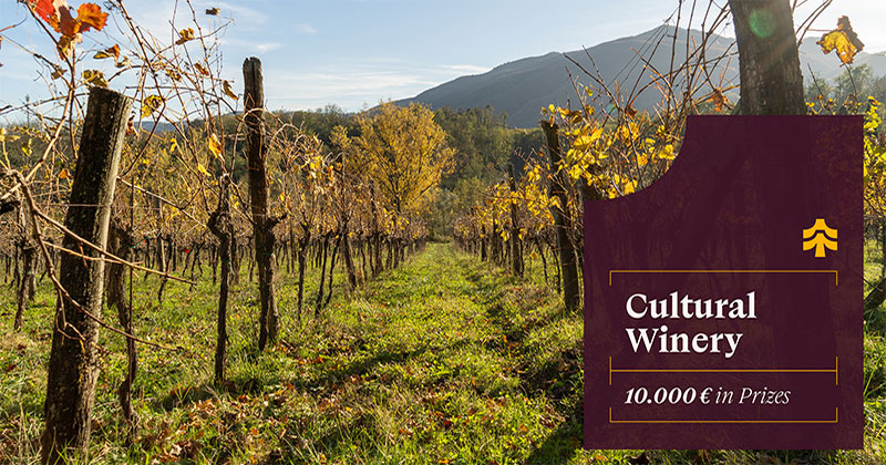 Cultural Winery, uno spazio di degustazione tra le colline toscane