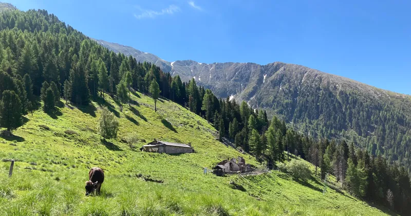 concorso di progettazione per la ricostruzione del rifugio Spruggio Giovanni Tonini