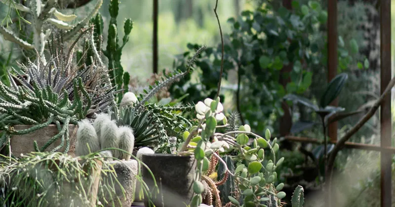 Acque Veronesi, una piccola oasi verde nel cavedio della nuova sede