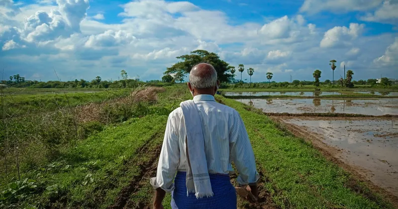 Scatti rurali. Racconti di lavoro e paesaggi contadini in fotografia