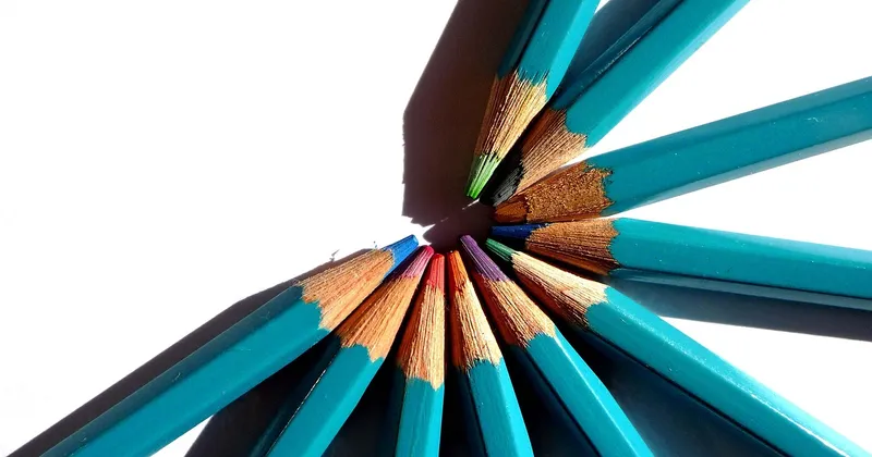 Nuovo stemma e gonfalone per raccontare l'identità del territorio di Novella, in Trentino