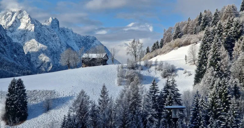 SCENARI. Volti, luoghi e paesaggi del Cadore attraverso l'obiettivo