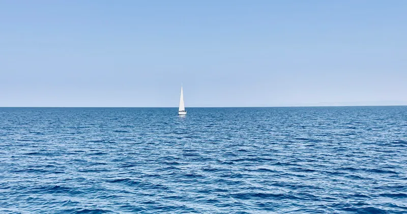 Un logo per i 100 anni della Federazione Italiana Vela