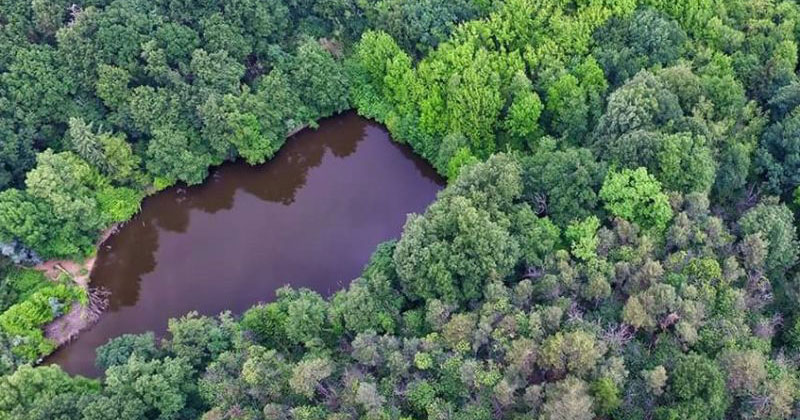 Al Parco Boschi di Carrega un workshop teorico pratico di recupero dell'antico reticolo idrografico
