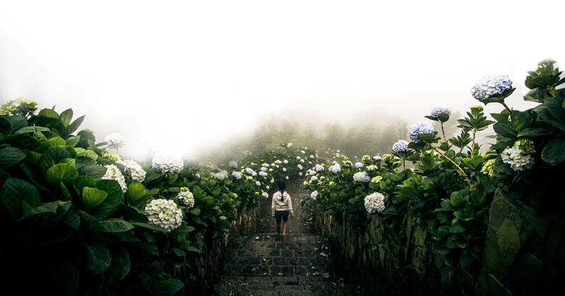 Garden and Open-space Design: corso internazionale sulla progettazione dei giardini contemporanei