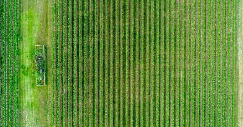 Paesaggi ereditati e progetto futuro. Nuove alleanze per curare la terra