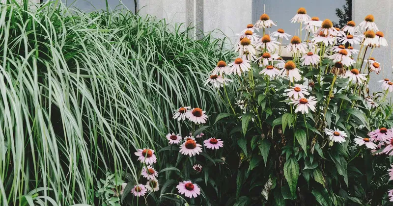 Sul giardino contemporaneo: idee, esperienze e progetti