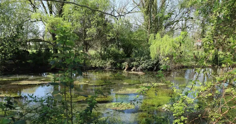 Svelare paesaggi: un laboratorio sulle risorgive del Botteniga a Treviso