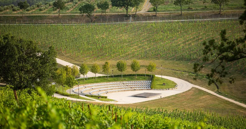 Paesaggio e agricoltura: pratiche di rigenerazione dei territori rurali