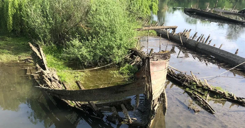 Il paesaggio del Sile a Treviso, tra acque basse e barconi semisommersi