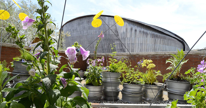 Al Via La Sesta Edizione Del Festival Del Verde E Del Paesaggio Terrazzi Balconi Giardini Design D Autore Orti Serre E Terrarium Al Parco Della Musica