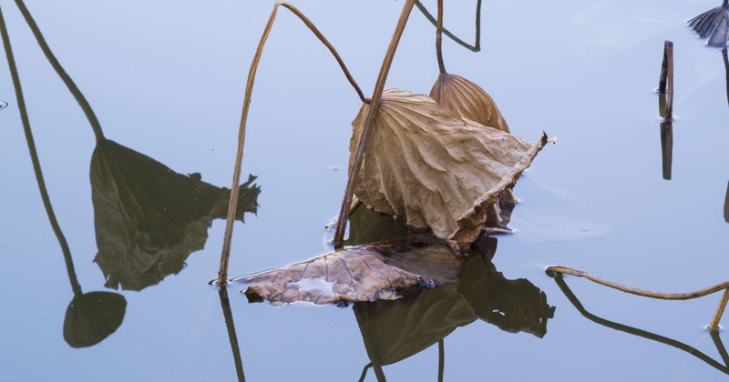 Pechino: luoghi, strutture e illusioni. Inaugura la mostra di Jiehao Su, vincitore del Premio Gabriele Basilico