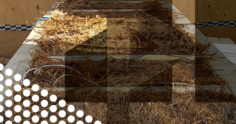 Agritettura, lezione in... campo. Visita al cantiere di studio Monterisi