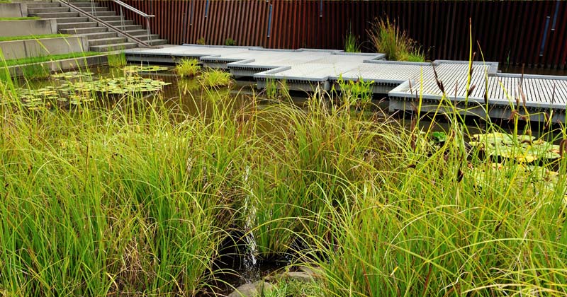 Naturale inclinazione 2019. Cambia il clima, cambia il progetto di paesaggio?