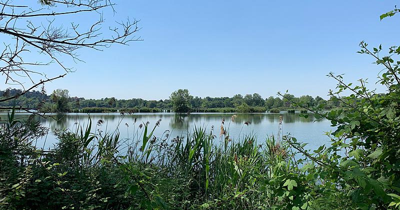 Instaura #ontheroad. Flânerie in Torbiera, itinerario alternativo per ripensare la Riserva delle Torbiere del Sebino