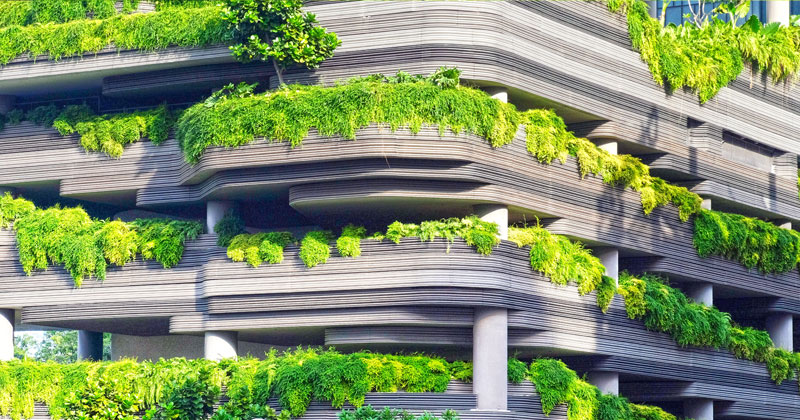 Biophilic Design. Una moda, un trend, una necessità?