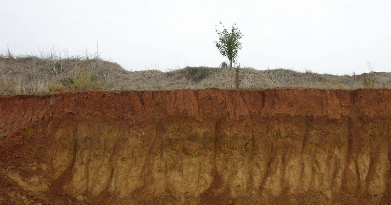 Giornate internazionali di studio sul paesaggio 2020. Il suolo come paesaggio