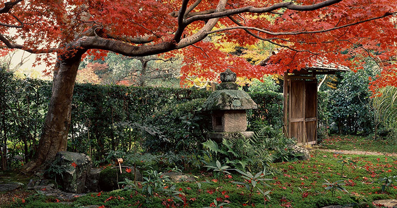 Giardini giapponesi, Kyoto e le quattro stagioni
