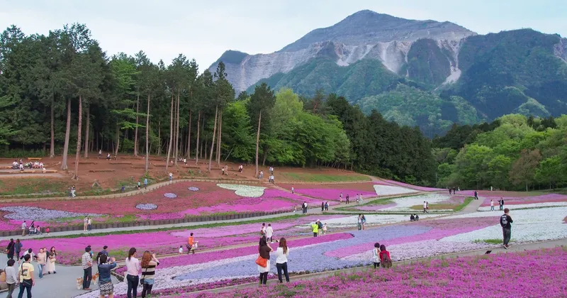 L'architettura giapponese oltre i clich&eacute;