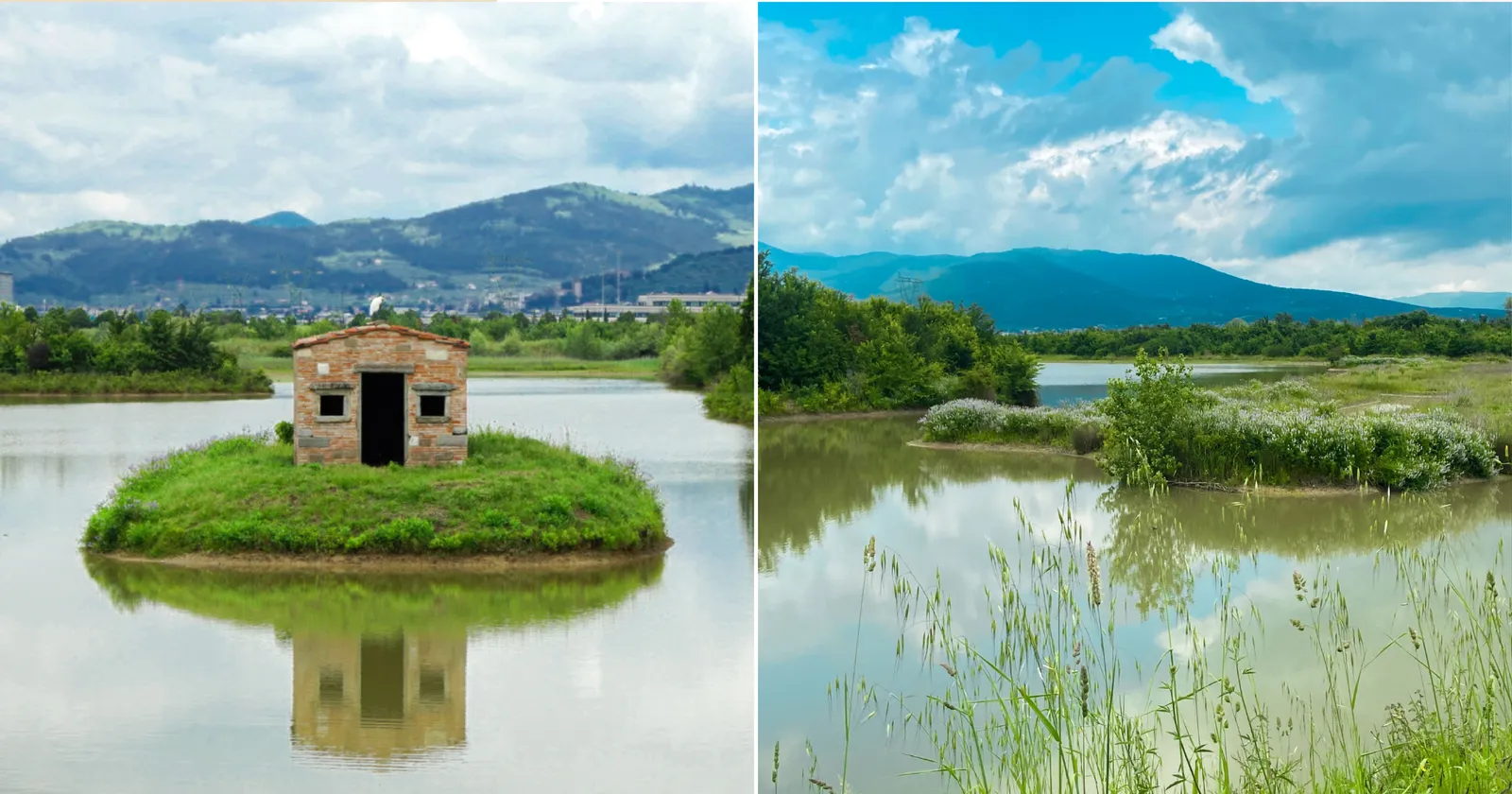 Dal borgo storico all'Oasi di Focognano: due giornate tra rigenerazione urbana e recupero ambientale
